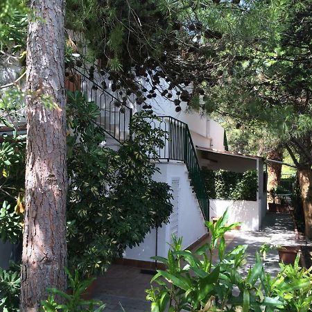 Villa Irene 维耶斯泰 外观 照片