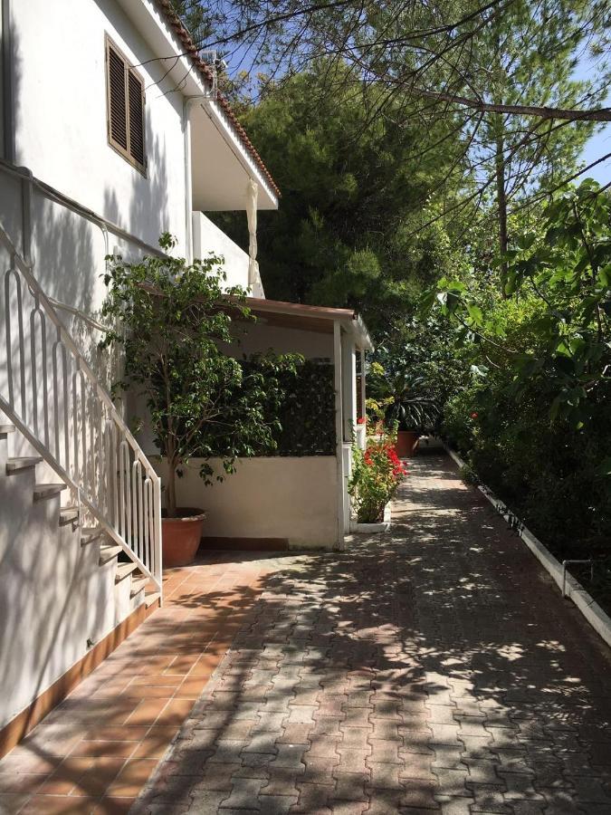Villa Irene 维耶斯泰 外观 照片