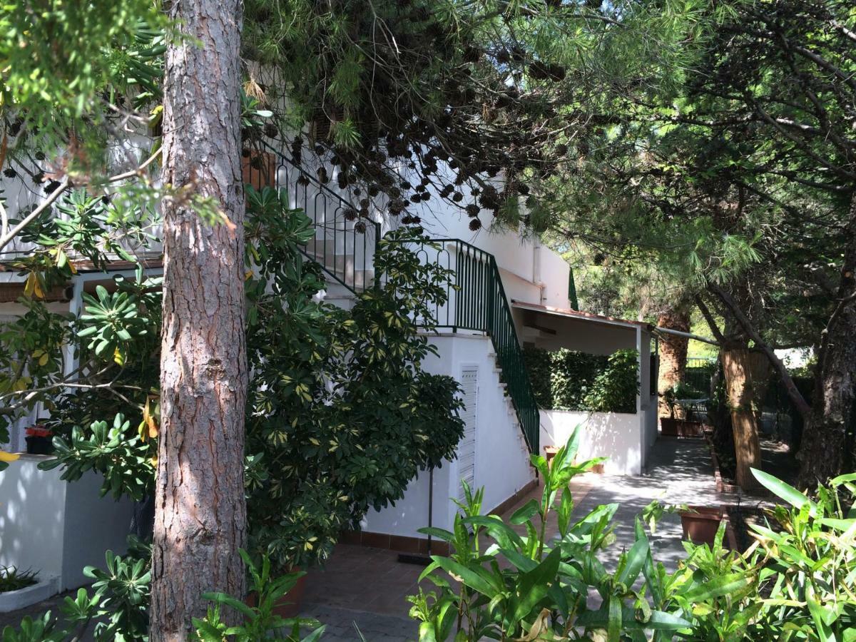 Villa Irene 维耶斯泰 外观 照片