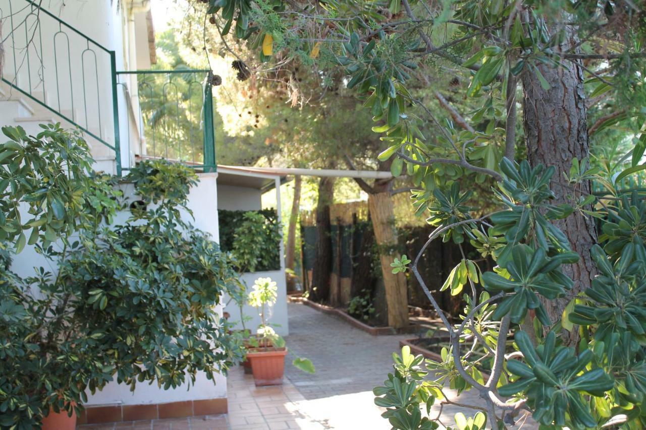 Villa Irene 维耶斯泰 外观 照片