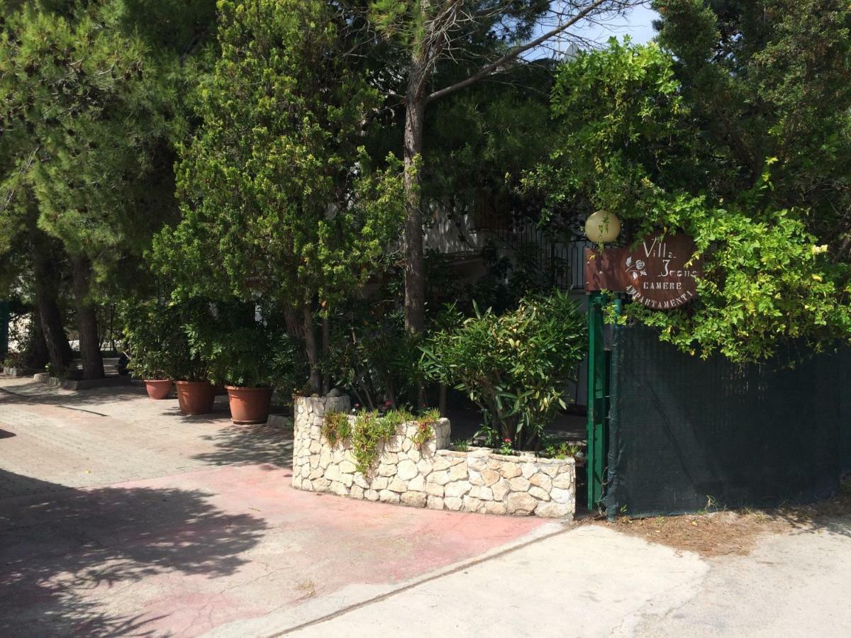 Villa Irene 维耶斯泰 外观 照片